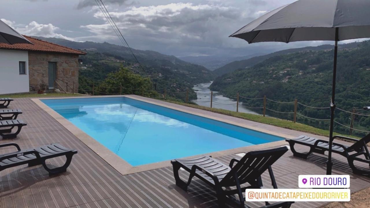 Quinta De Catapeixe Douro River Magrelos Extérieur photo
