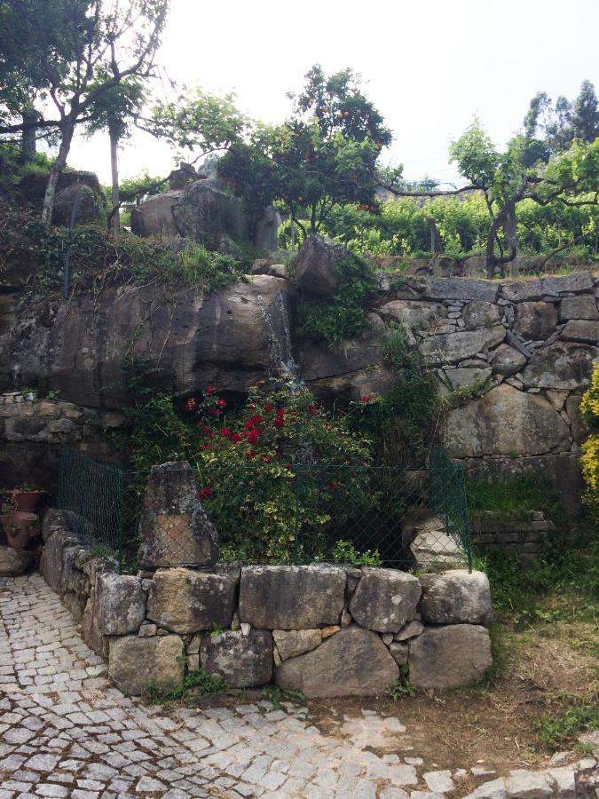 Quinta De Catapeixe Douro River Magrelos Extérieur photo