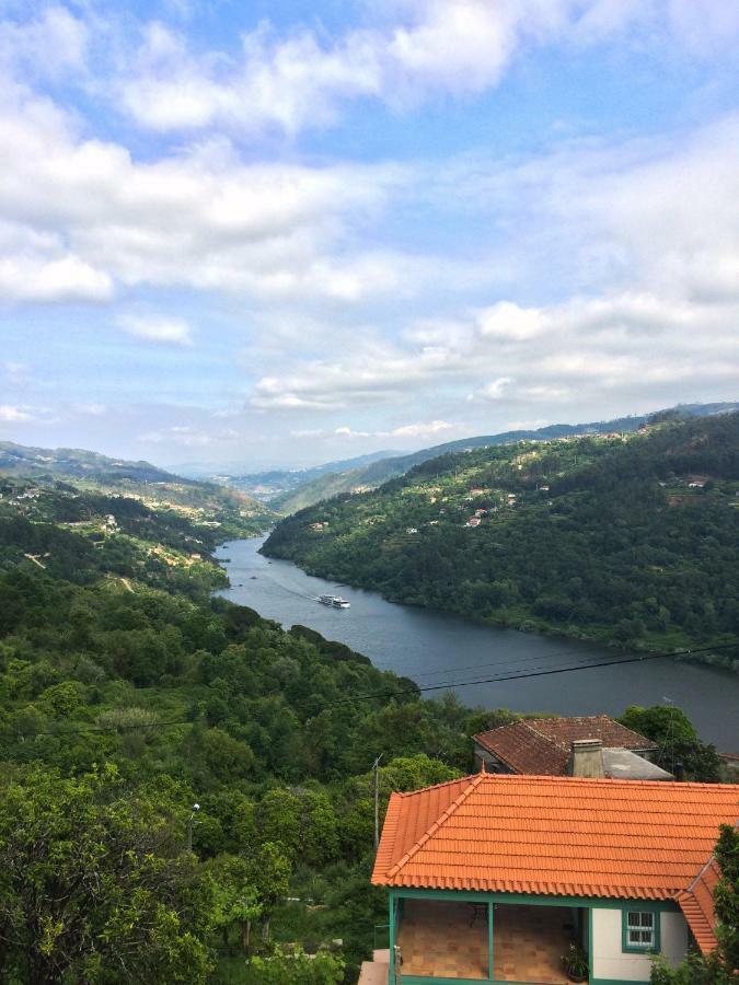 Quinta De Catapeixe Douro River Magrelos Extérieur photo