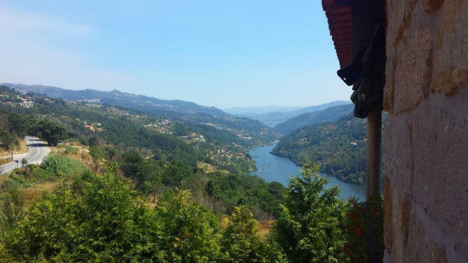Quinta De Catapeixe Douro River Magrelos Extérieur photo