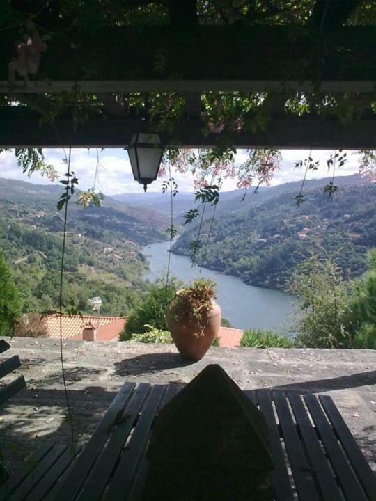 Quinta De Catapeixe Douro River Magrelos Extérieur photo