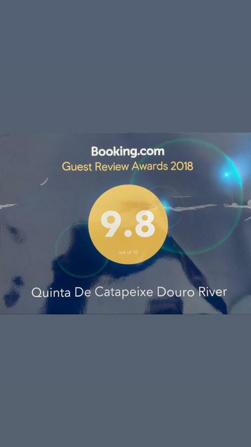 Quinta De Catapeixe Douro River Magrelos Extérieur photo